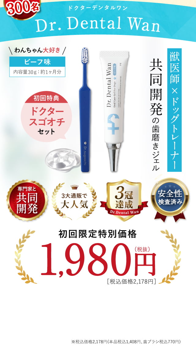 新品　Dr.dental wan ドクターデンタルワン