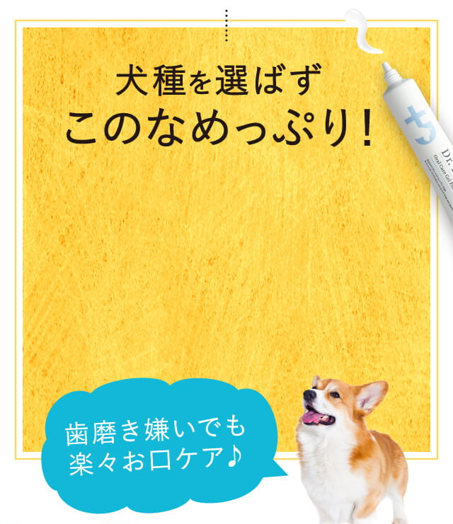 ドクターデンタルワン｜サンテミナ