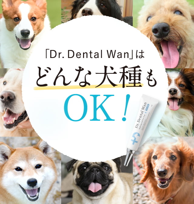 楽天市場】涙やけクリーナー 犬 ワンバリア ドクターワンバリア