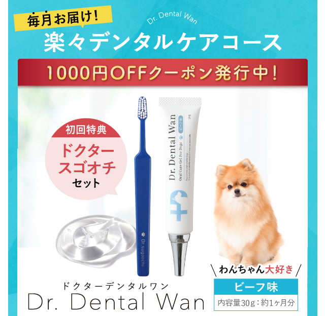 Dr.DentalWan ドクターデンタルワン
