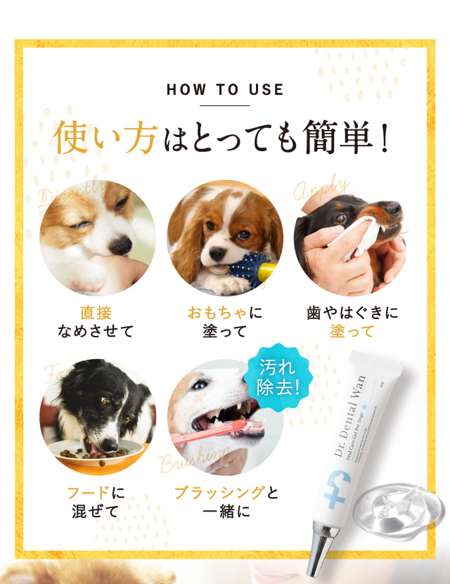 日本オンラインショップ ドクターデンタルワン 犬用品